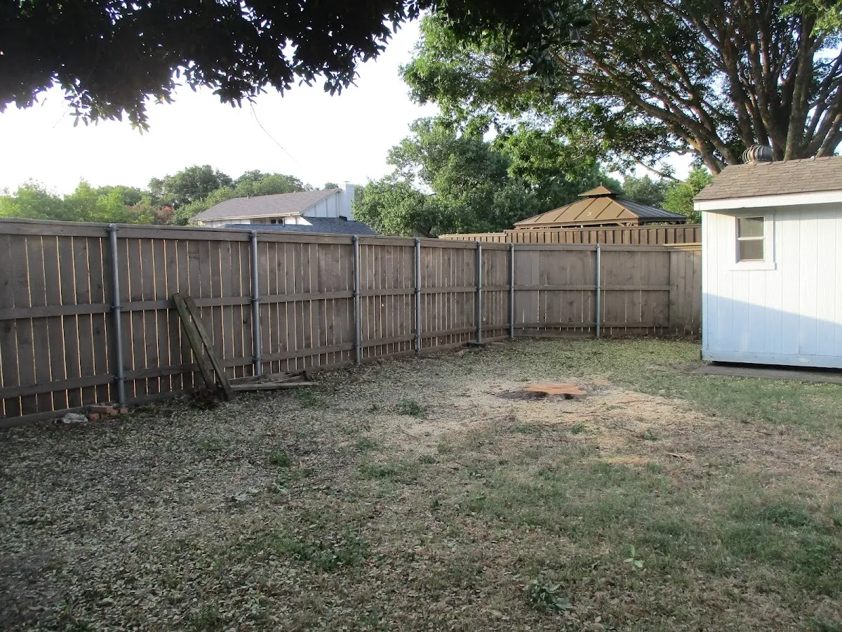 Cleared yard after professional tree removal in Incline Village